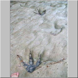 100_0950 (2009-28-07)m.JPG